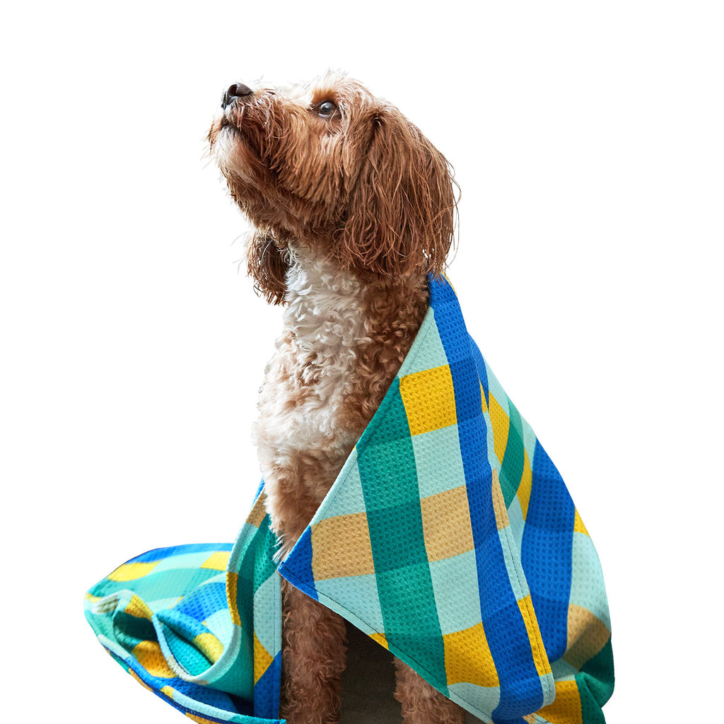 dock and bay towels dog