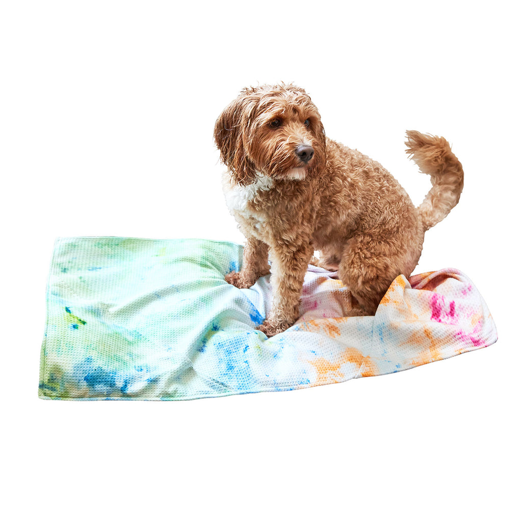 dock and bay towels dog