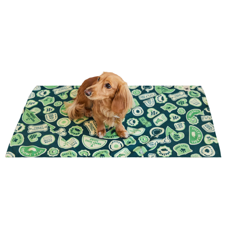 dock and bay towels dog