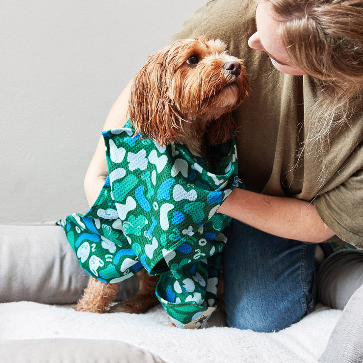 dock and bay towels dog