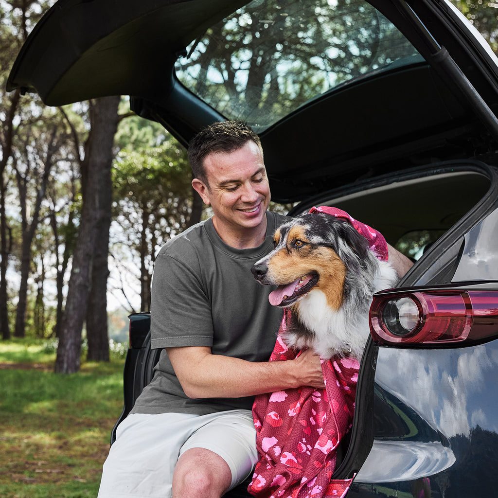 dock and bay towels dog