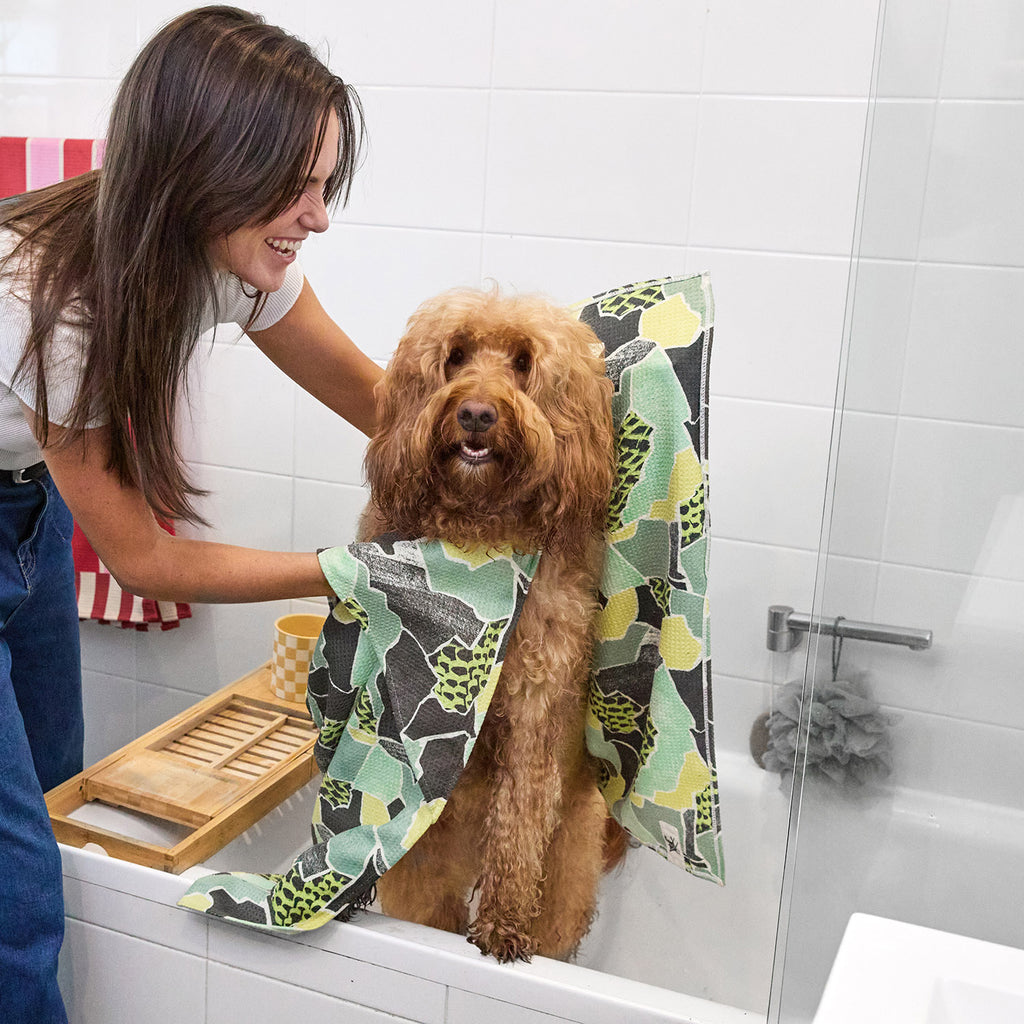 dock and bay towels dog
