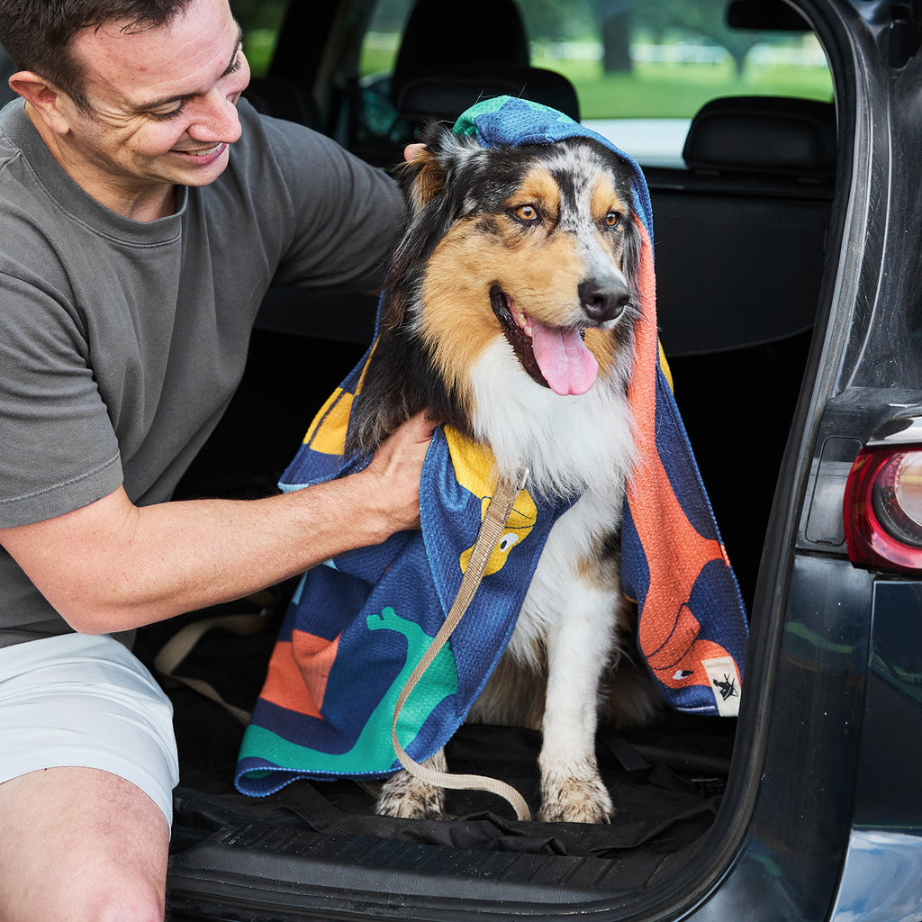 dock and bay towels dog