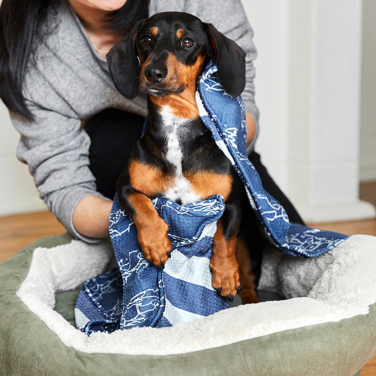 dock and bay dog towels