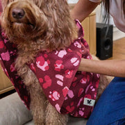 dock and bay towels dog