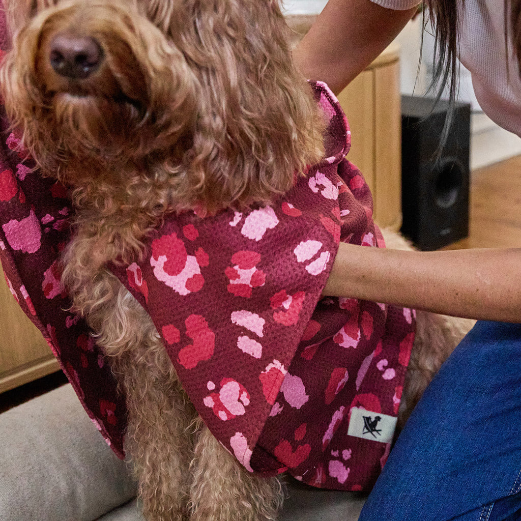 dock and bay towels dog