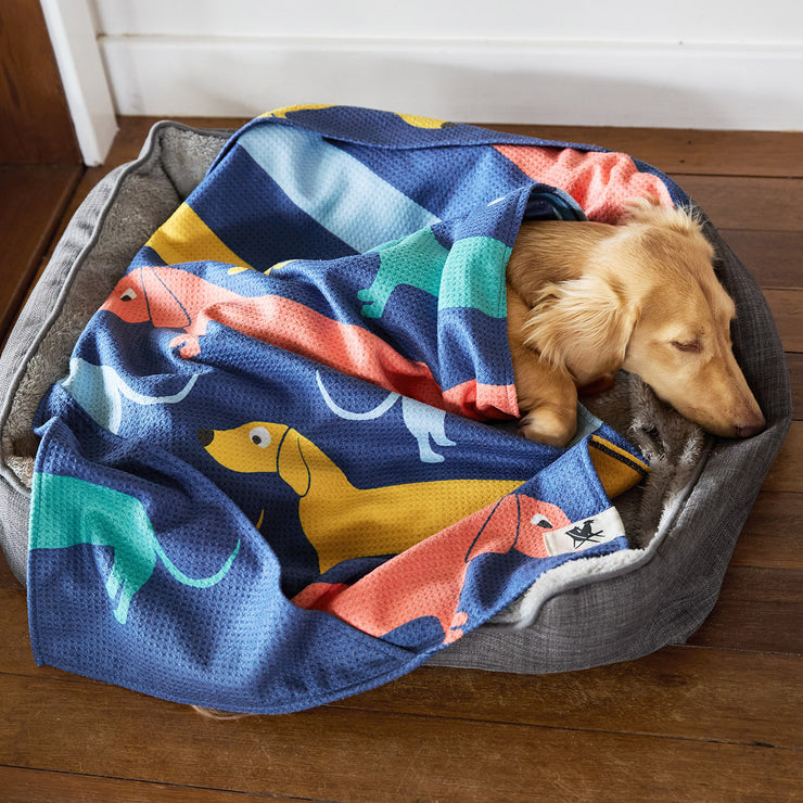 dock and bay towels dog