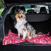 dock and bay towels dog
