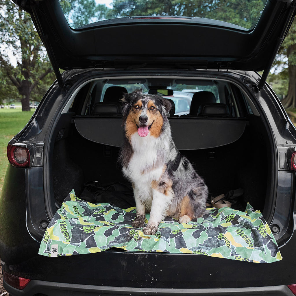 dock and bay towels dog