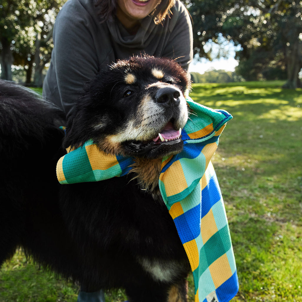 dock and bay towels dog