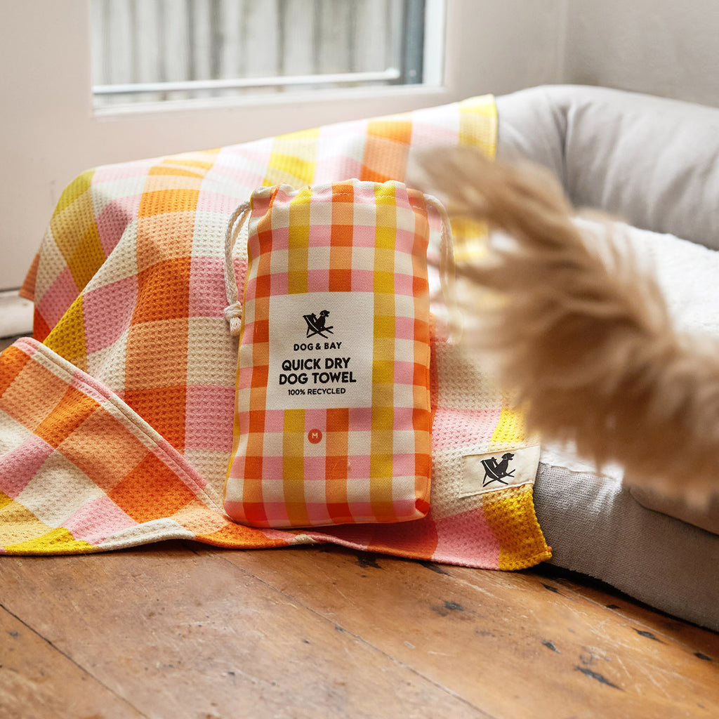 dock and bay towels dog