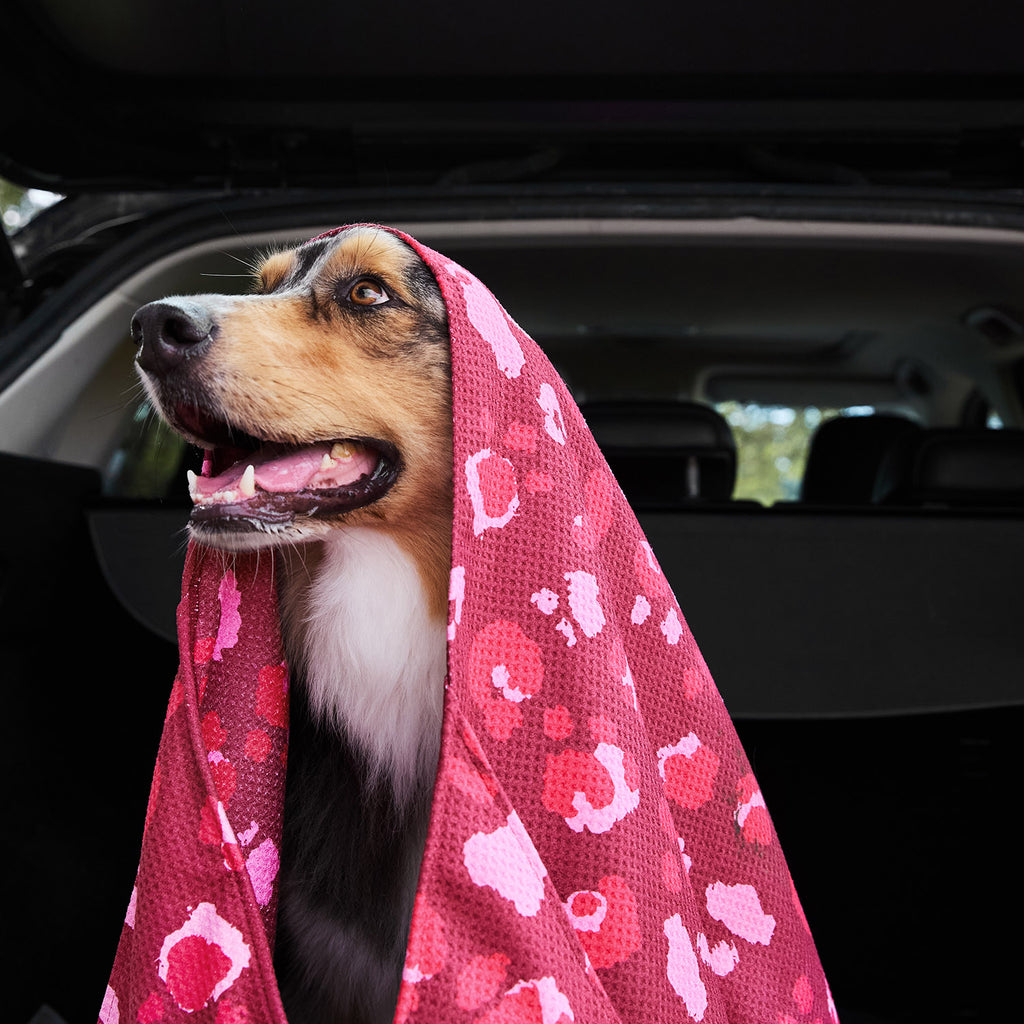 dock and bay towels dog