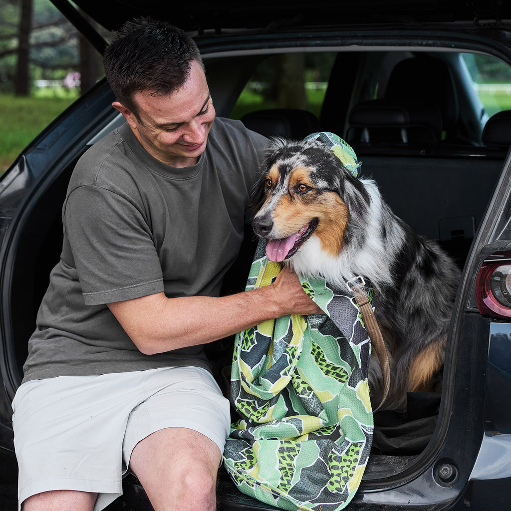 dock and bay towels dog