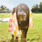 dock and bay dog towels