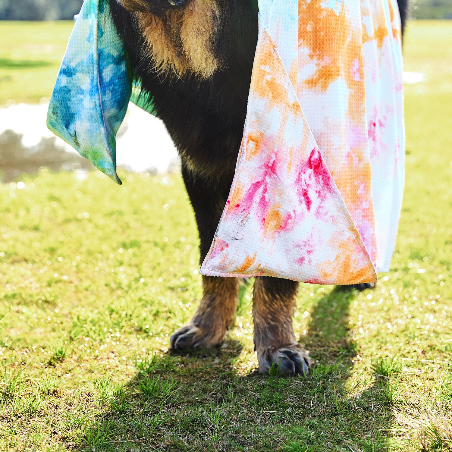 Dock & Bay Dog Towel - Sunset Splash – Dock & Bay EU