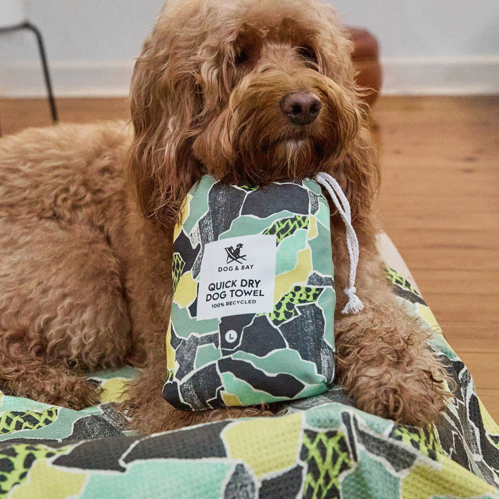 dock and bay towels dog