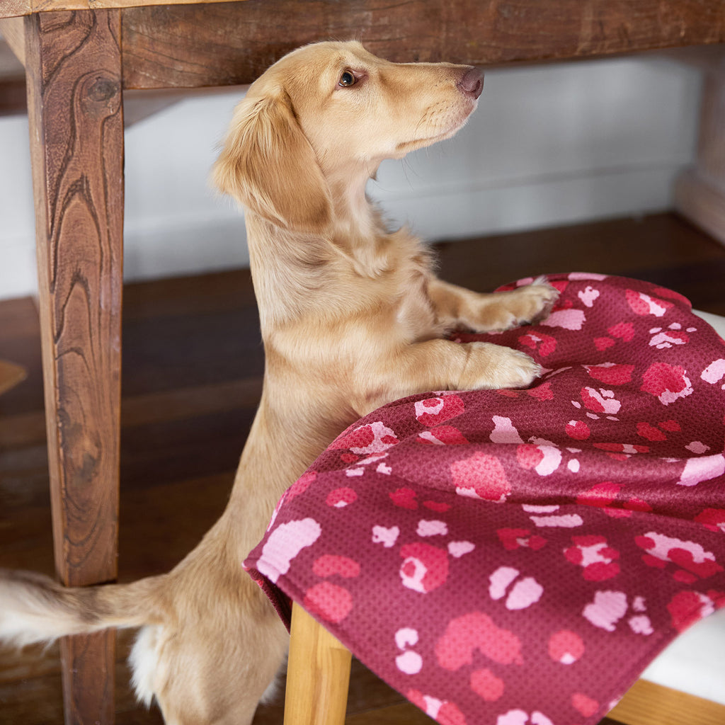 dock and bay towels dog