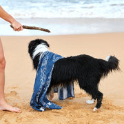 dock and bay dog towels