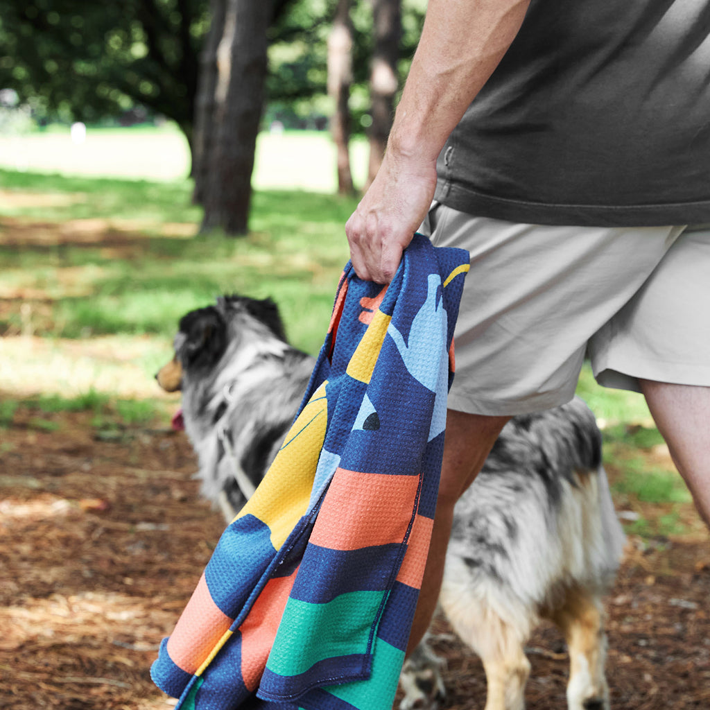 dock and bay towels dog
