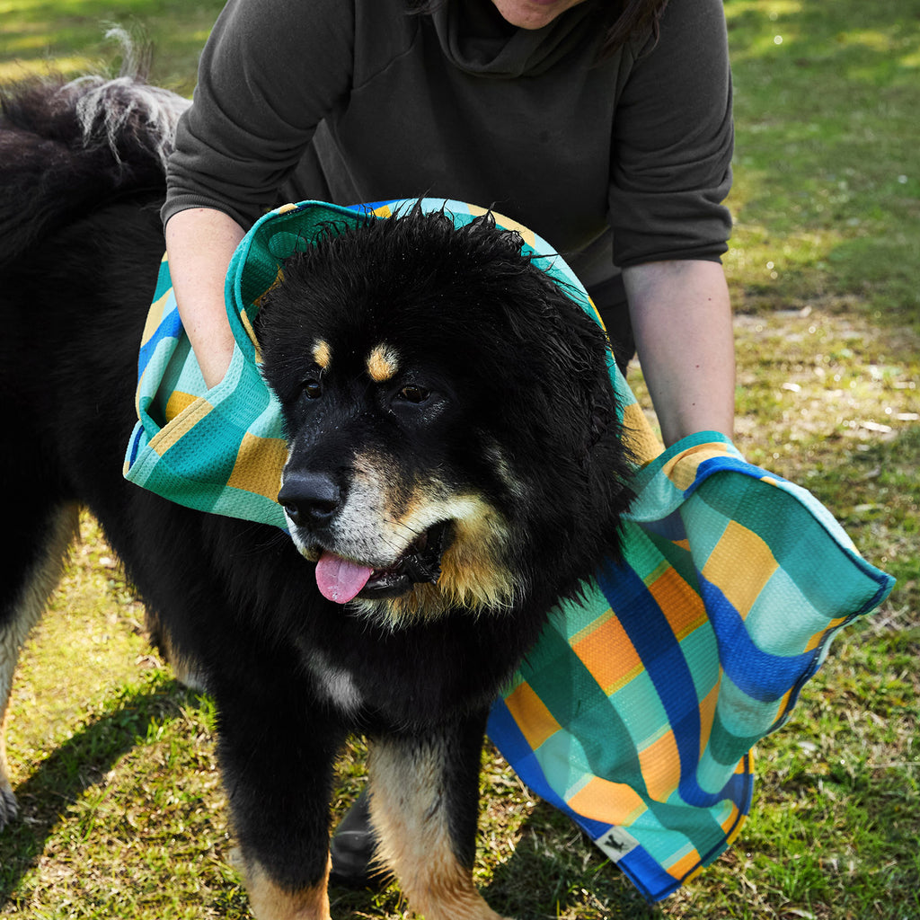 dock and bay towels dog