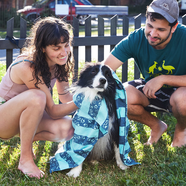 dock and bay dog towels