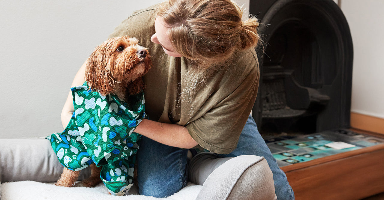 Serviette pour chien Dock & Bay - Où est Woofy
