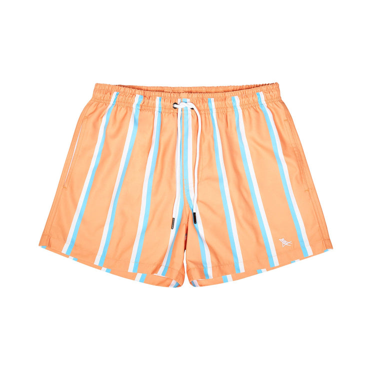 Swim Shorts - Pinstripes - Casual Fridays - Outlet